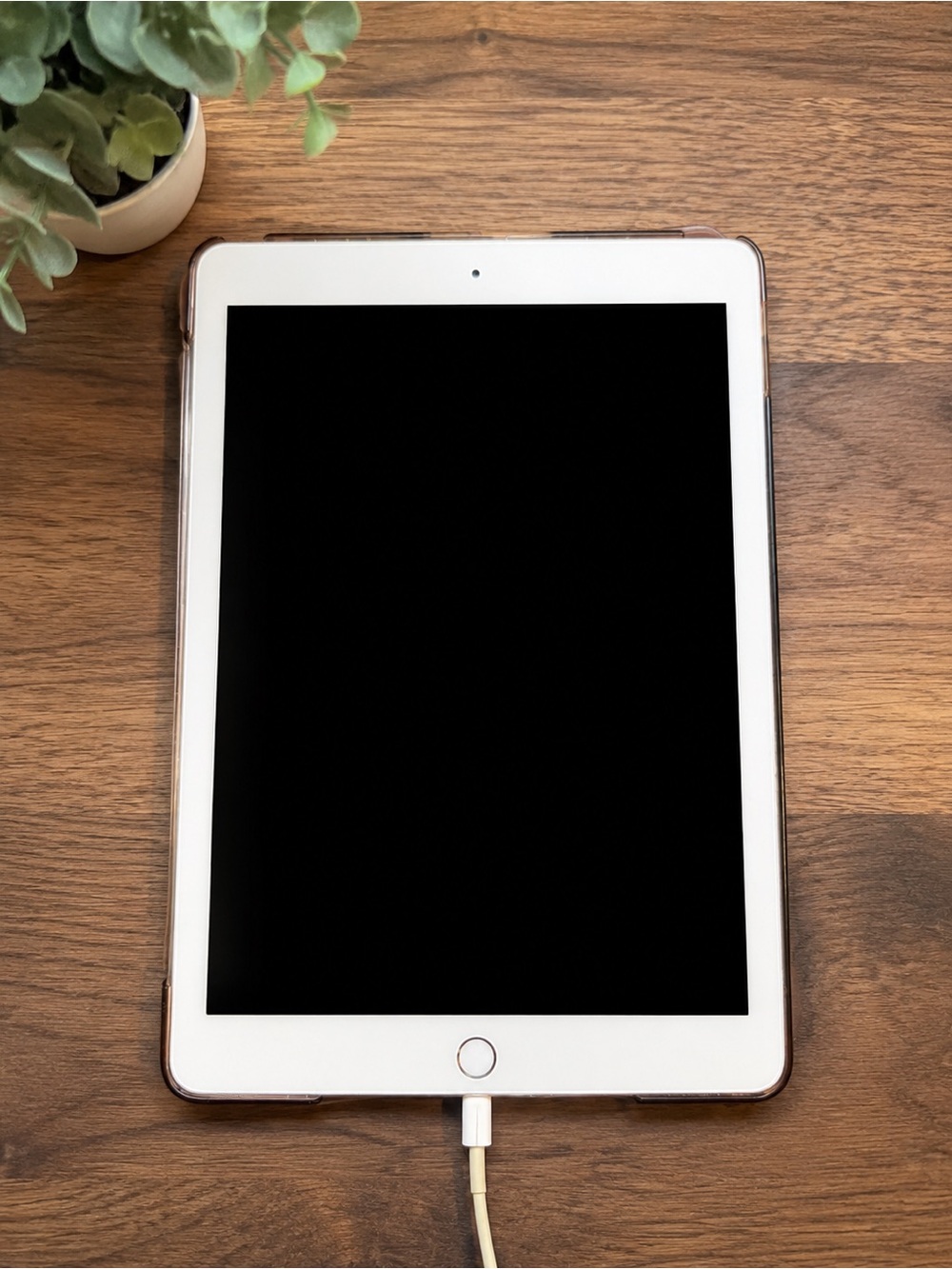 Apple iPad with White Front and Rose Gold Case